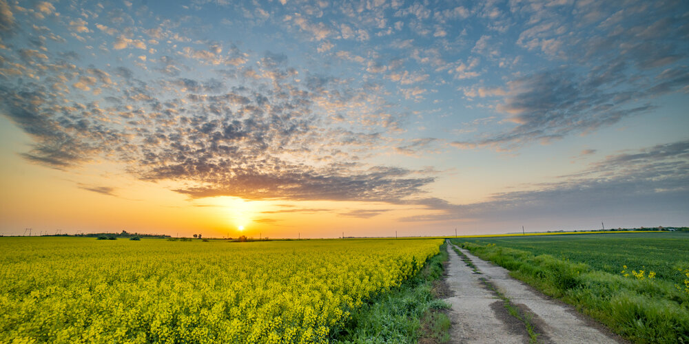 Photograph by Alexandru George