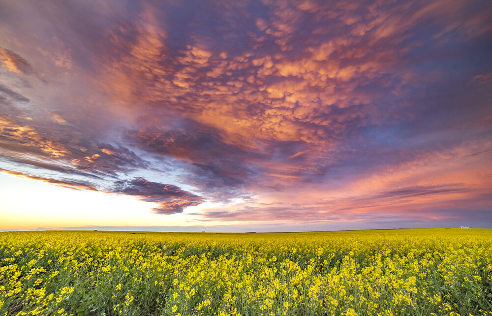 Photograph by Alexandru George