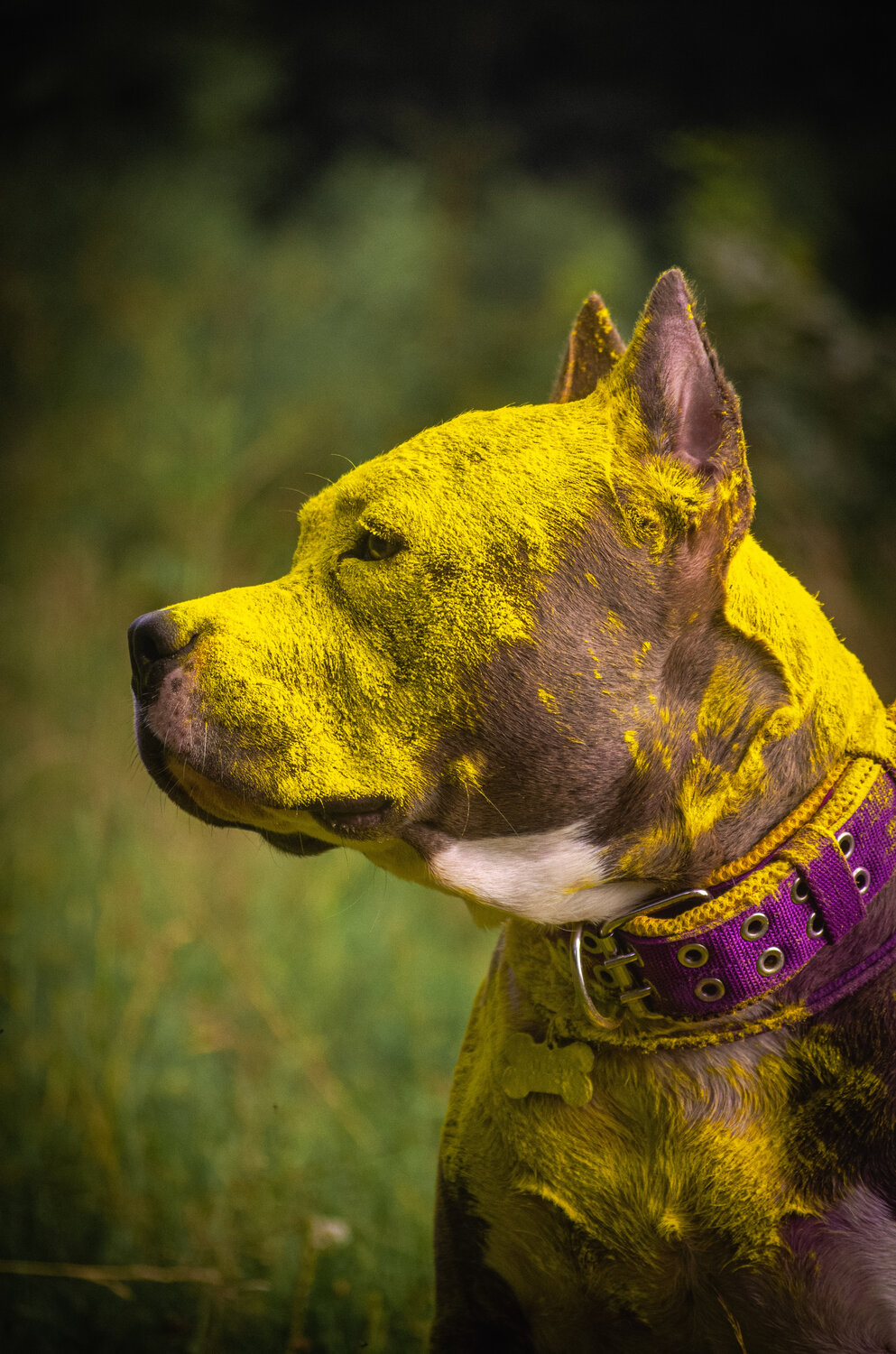 Photo #13836485