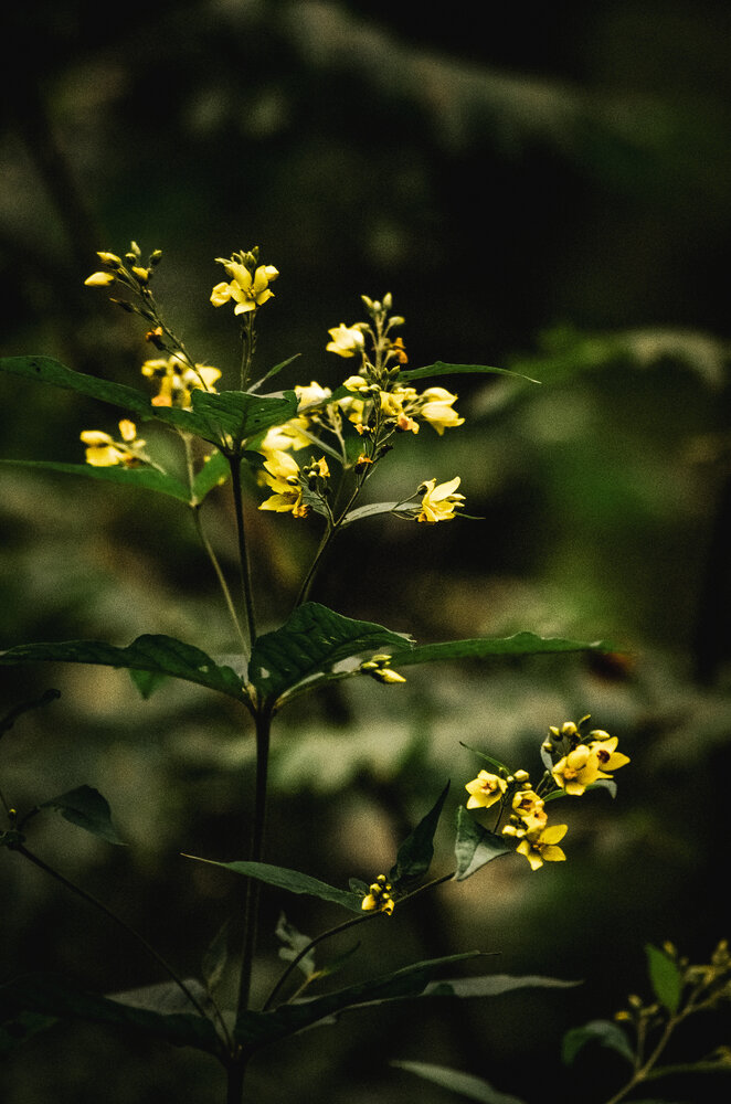 Photograph by Виктория