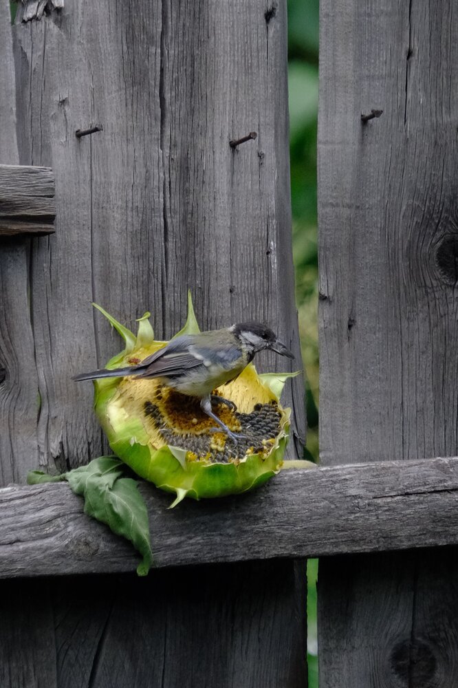 Photograph by Яна Истоцкая