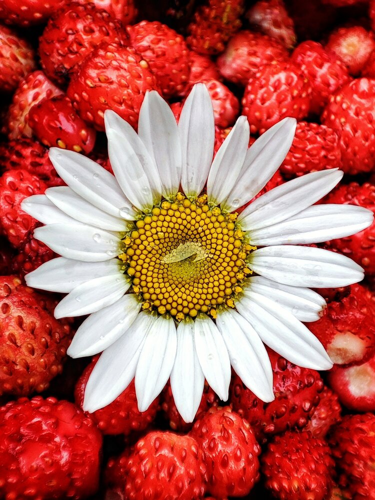 Berry mix