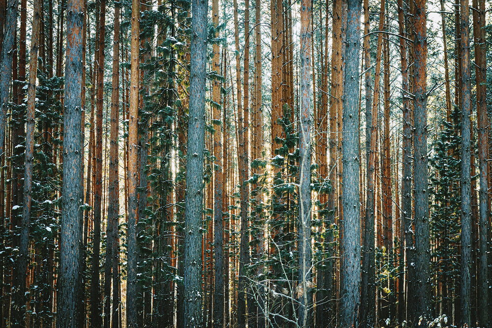 Photograph by Алмаз Пирматов