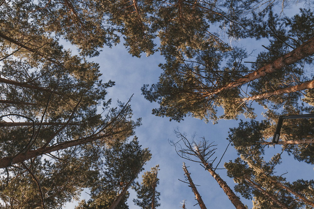 Photograph by Алмаз Пирматов