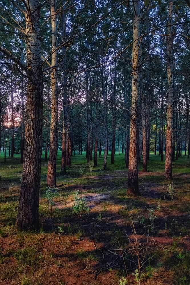 Photograph by Алмаз Пирматов