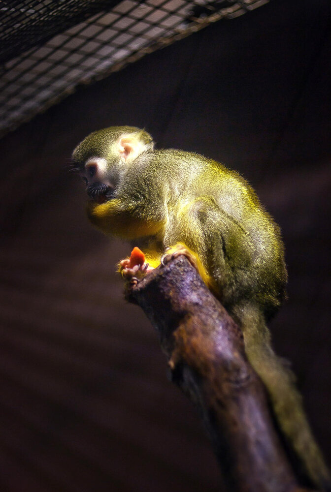 Photograph by Полина Хрол