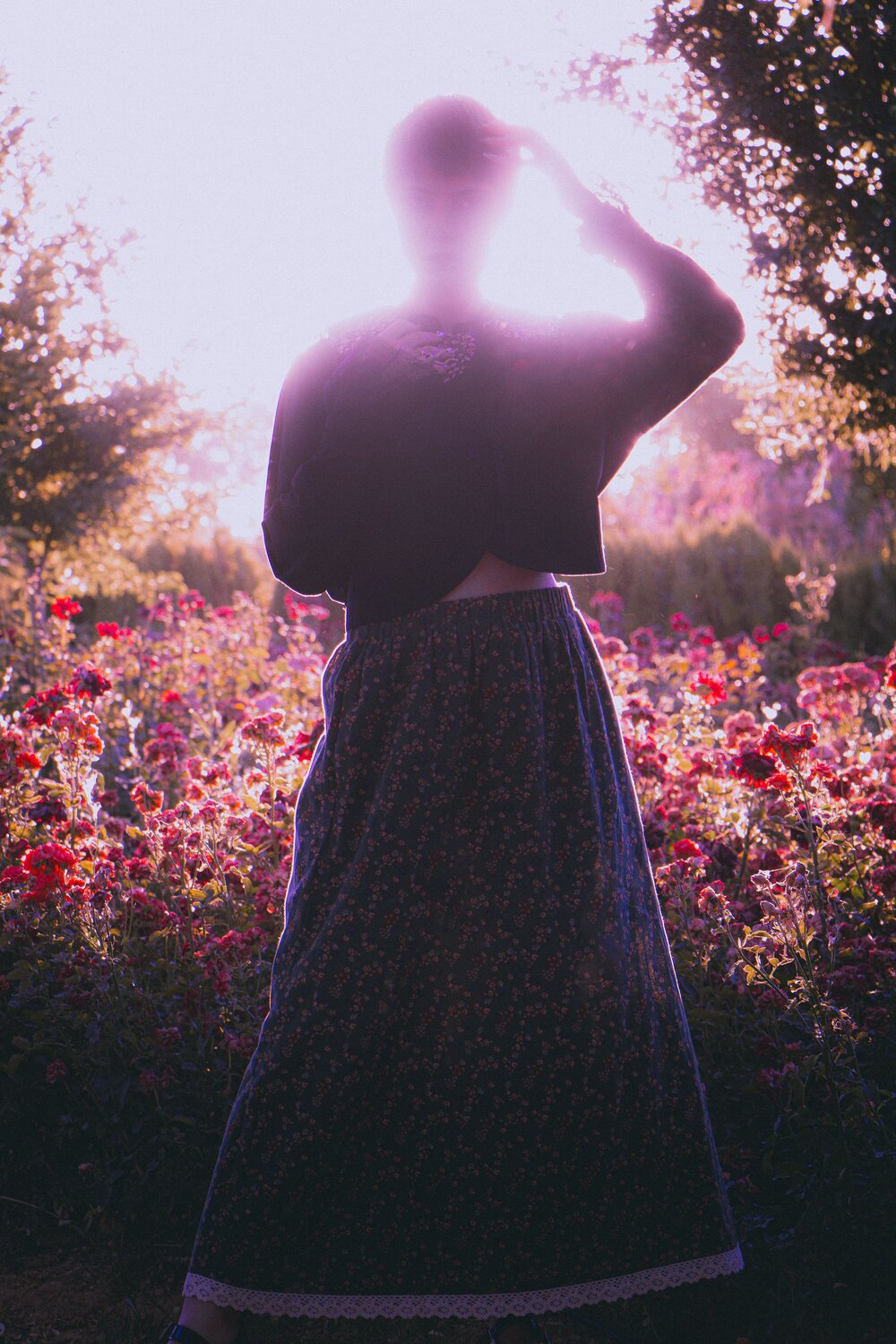 Photo #13836615