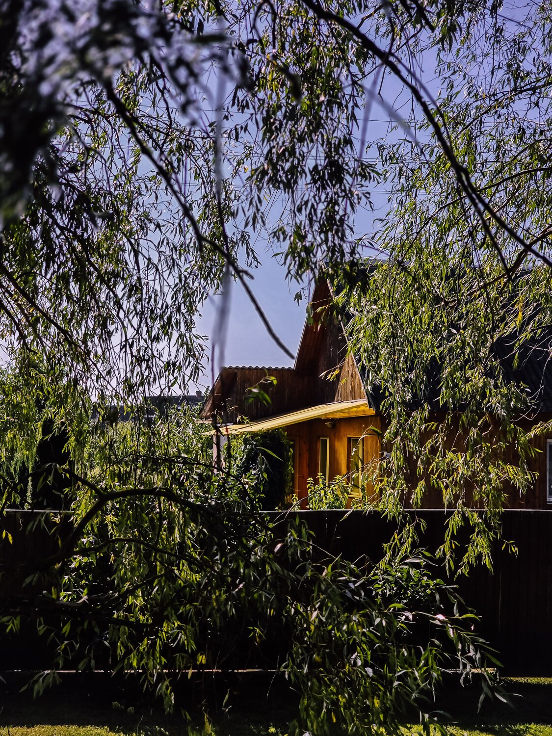 Photo #13836650
