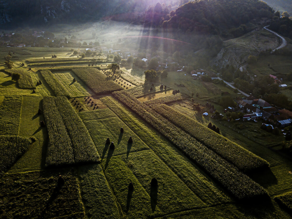 Photograph by Ovi D Pop
