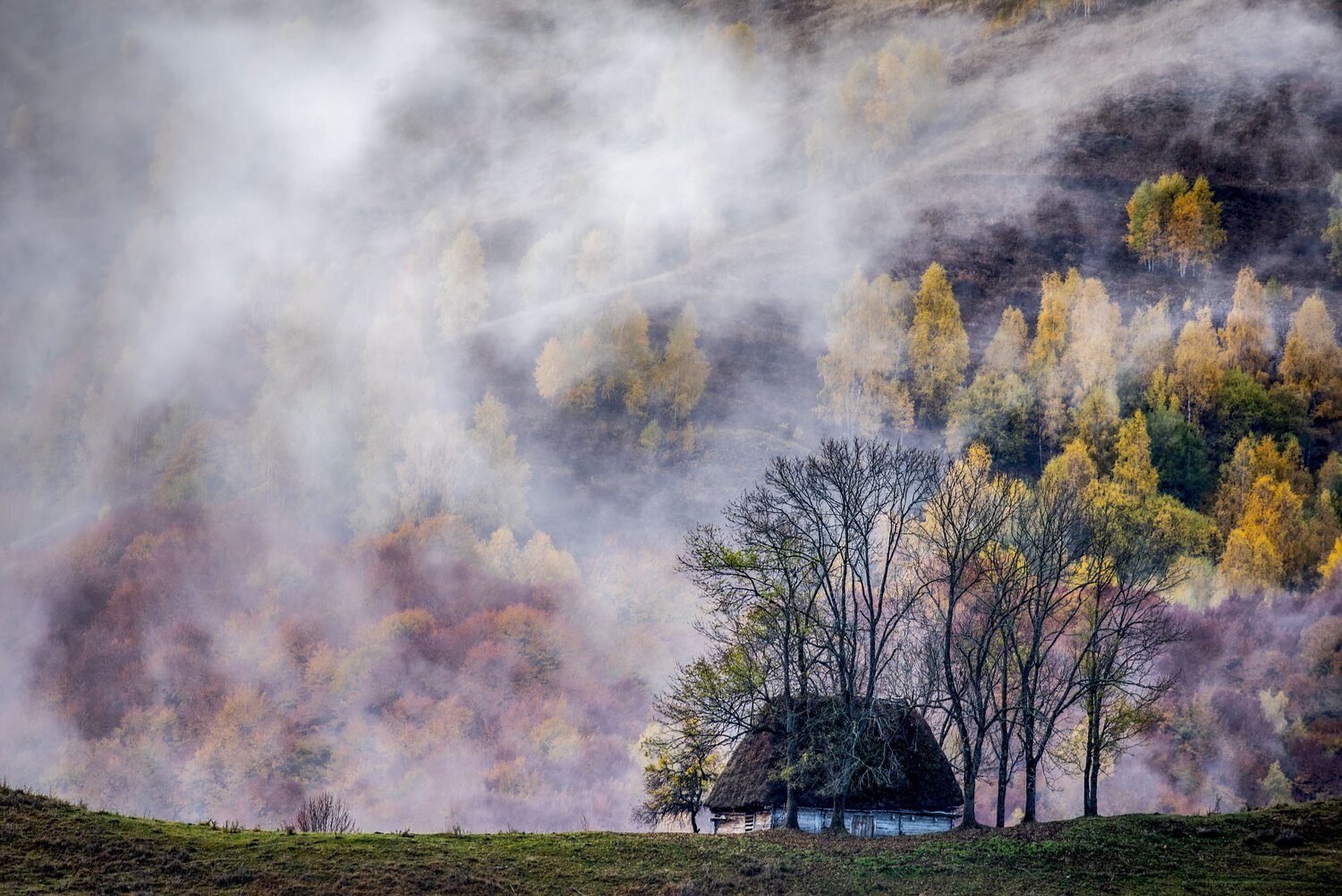 Photo #13836672