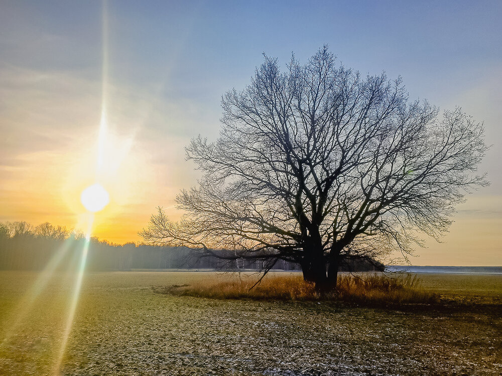 Photo #13836681