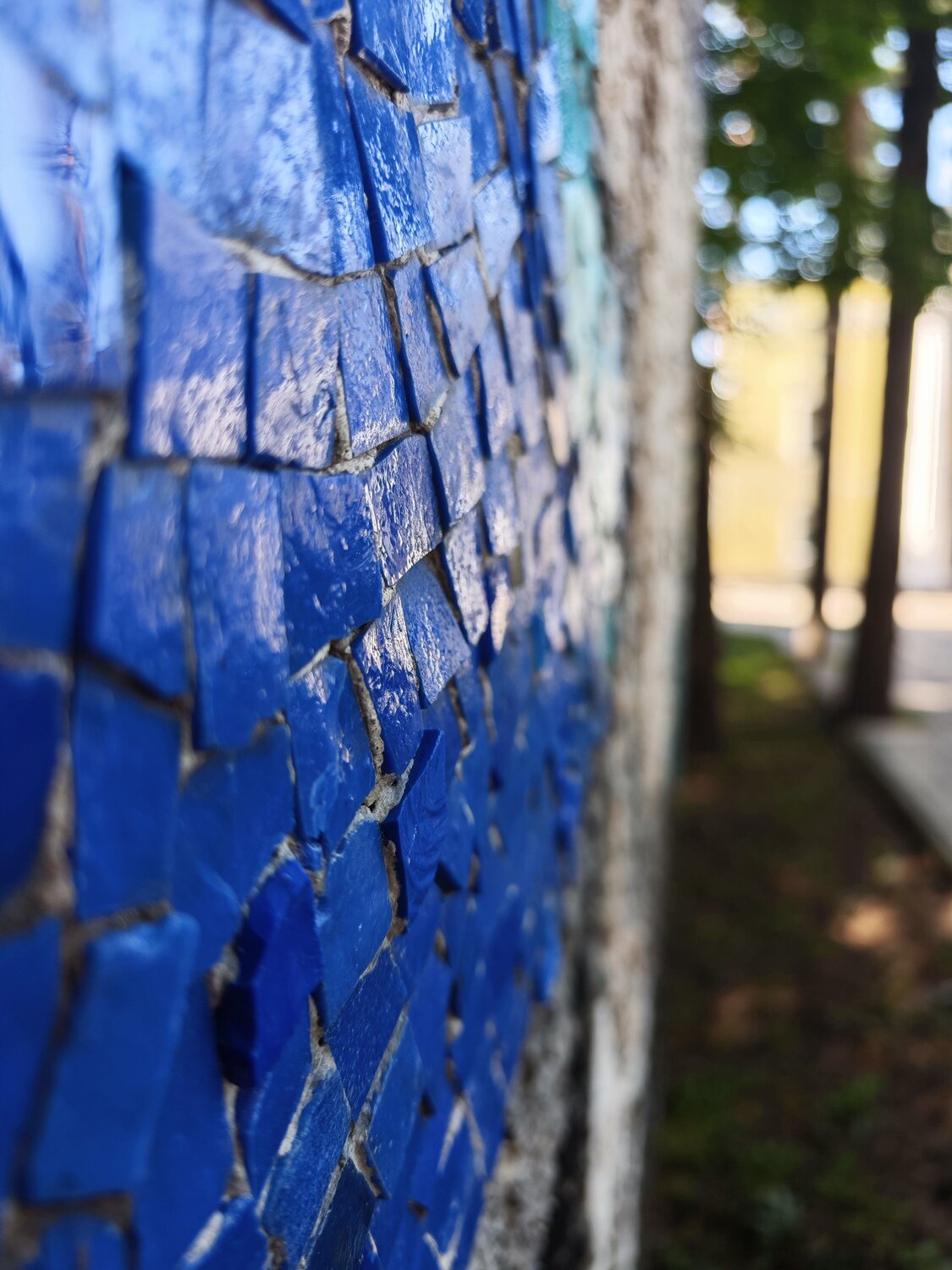 Photo #13836829
