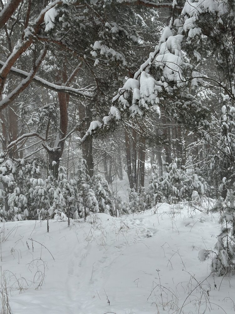Photograph by Людмила Гордиенко