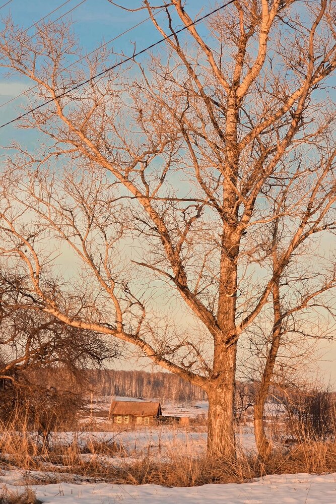 Photograph by Полина Котегова