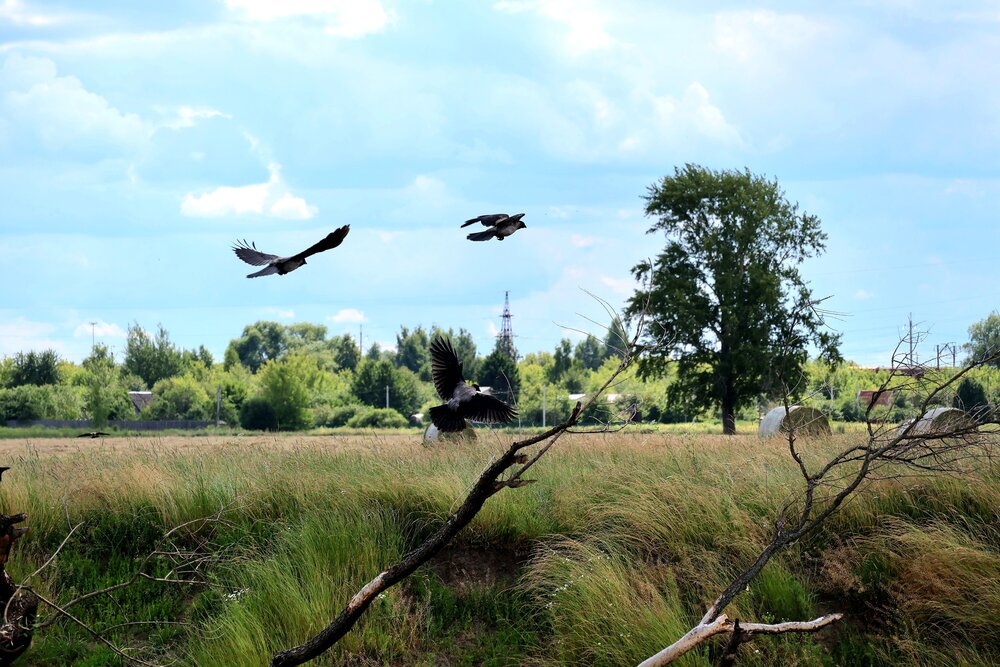 Photograph by Надежда Турсунова