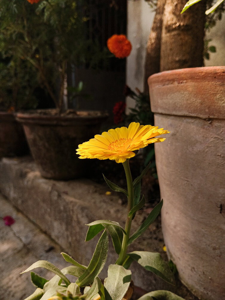 Photograph by Jyoti Sen