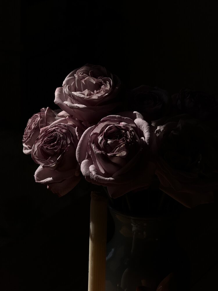 Photograph by Pavlova Maria