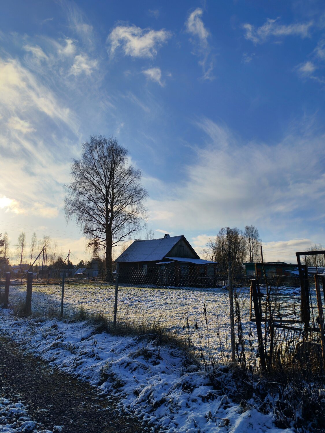 Photo #13837035