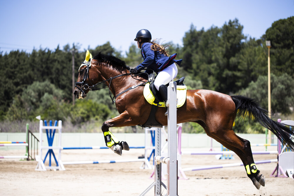 Photo #13837083