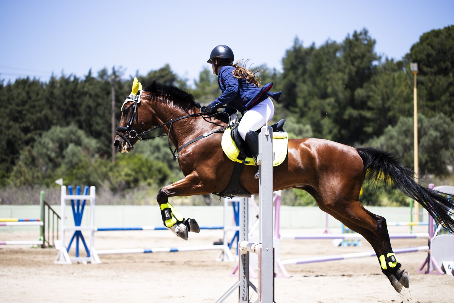 Photo #13837083