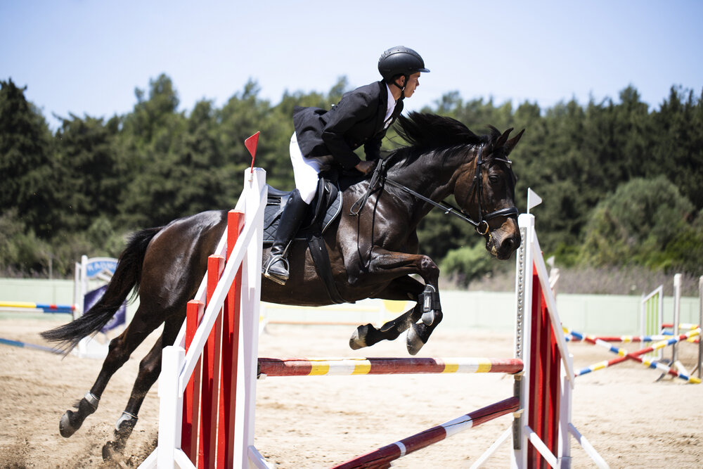 Photo #13837086