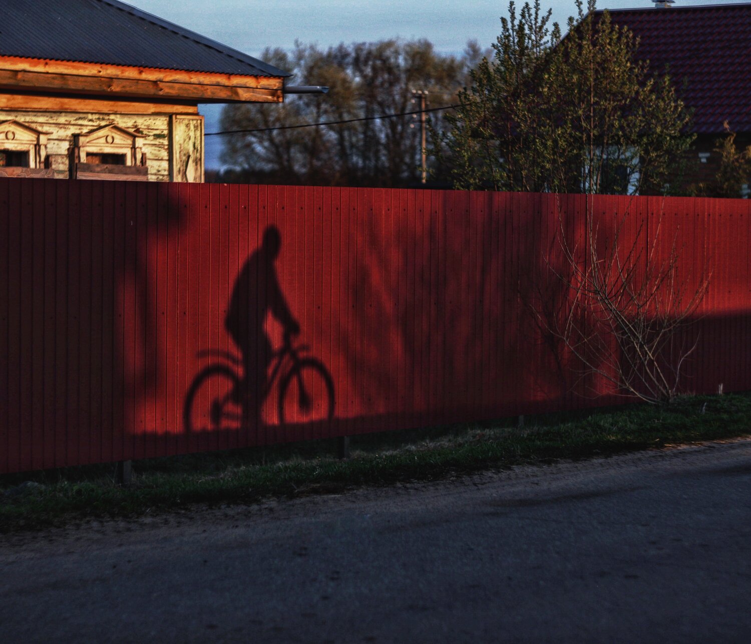 Photo #13837088