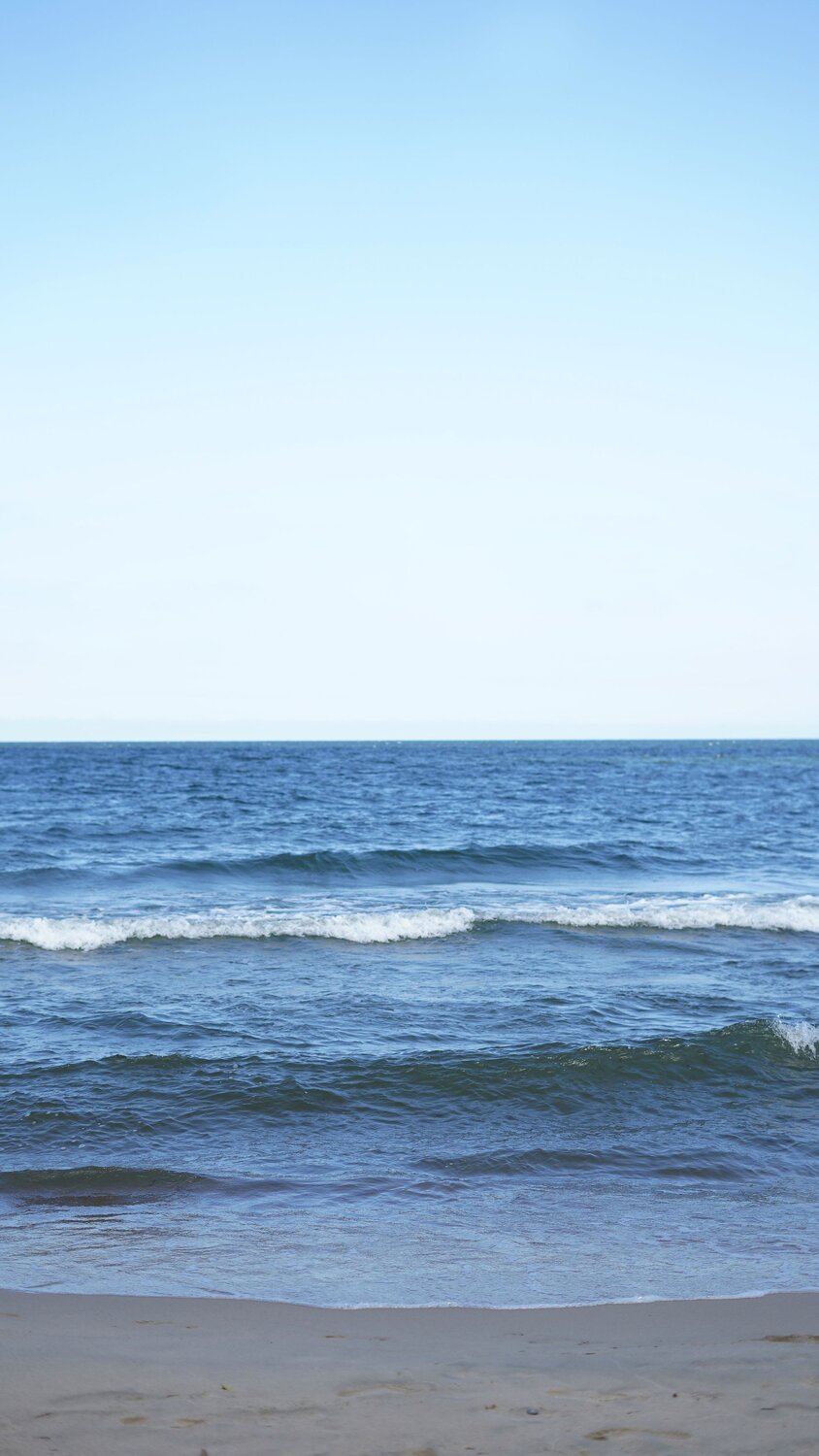 Photo #13837091