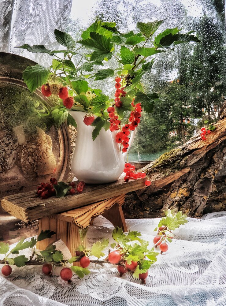 Photograph by Olga Asson