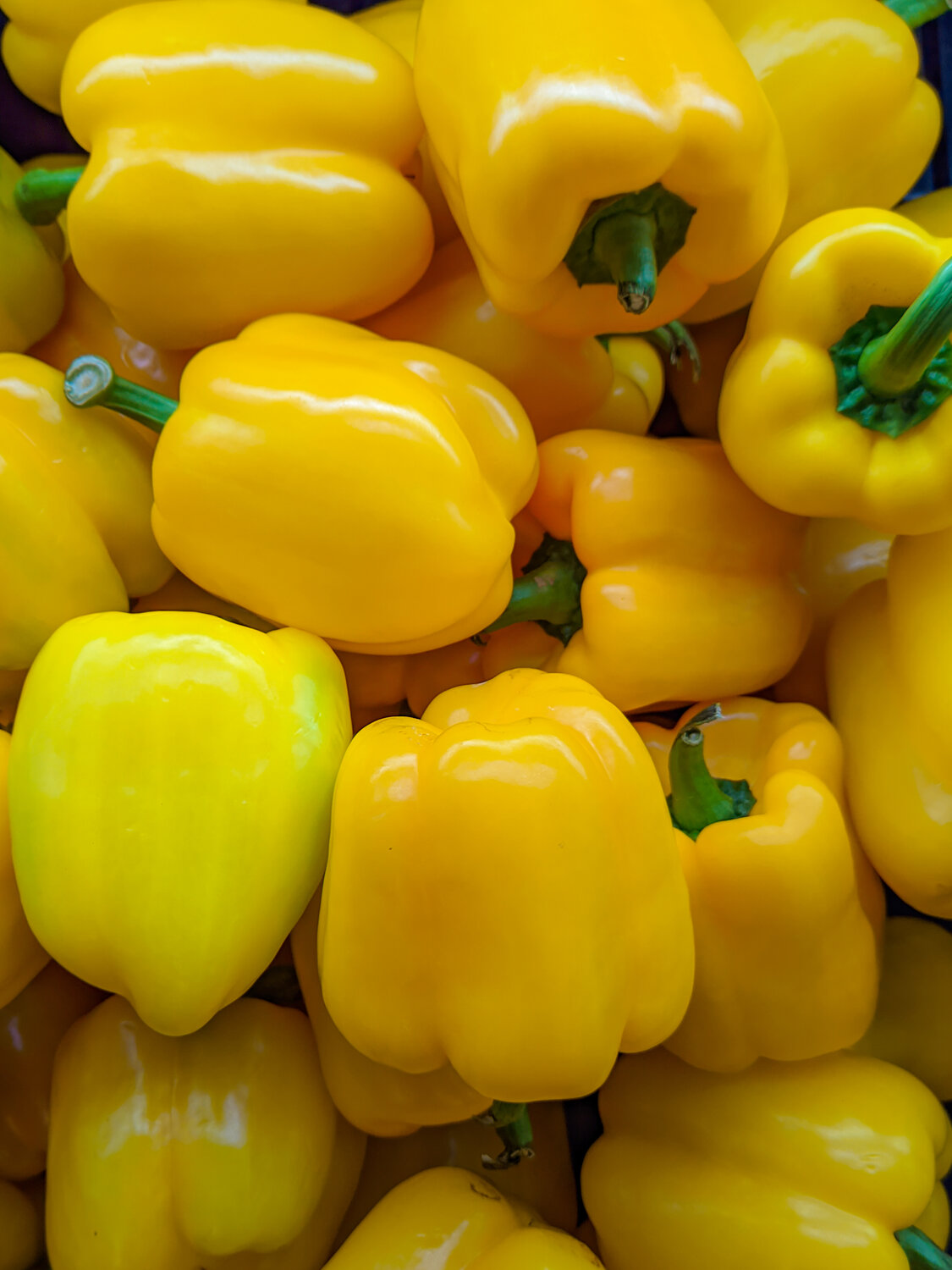 Vibrant Yellow Bell Peppers