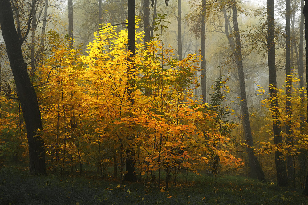 Photograph by Макаров Роман