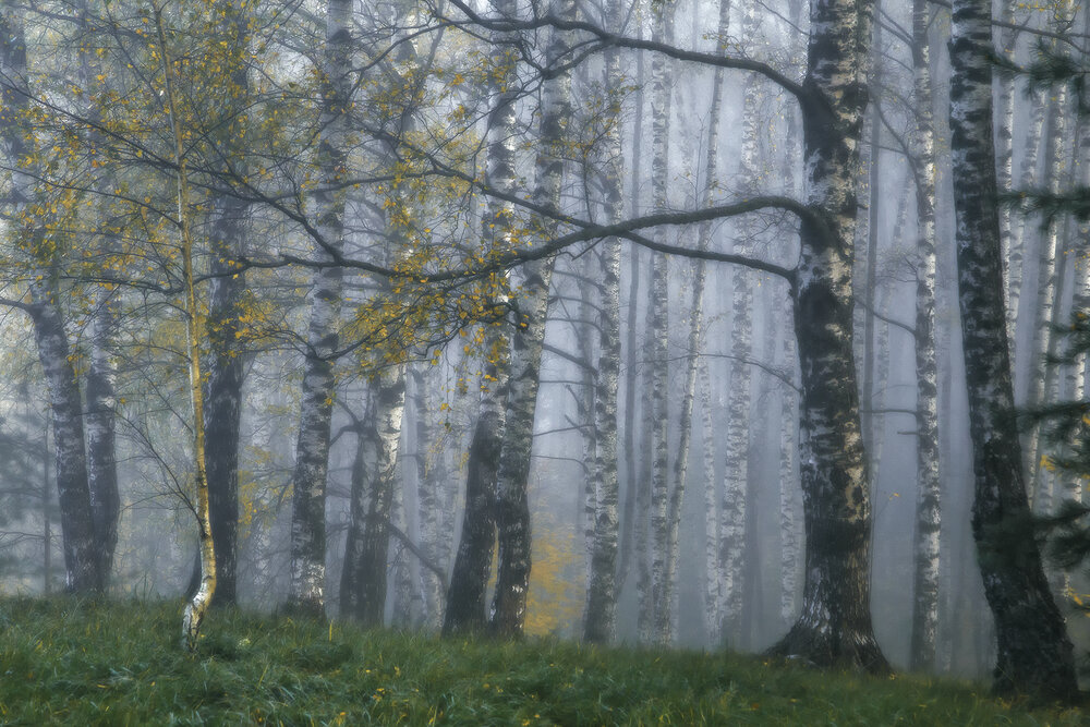 Photograph by Макаров Роман