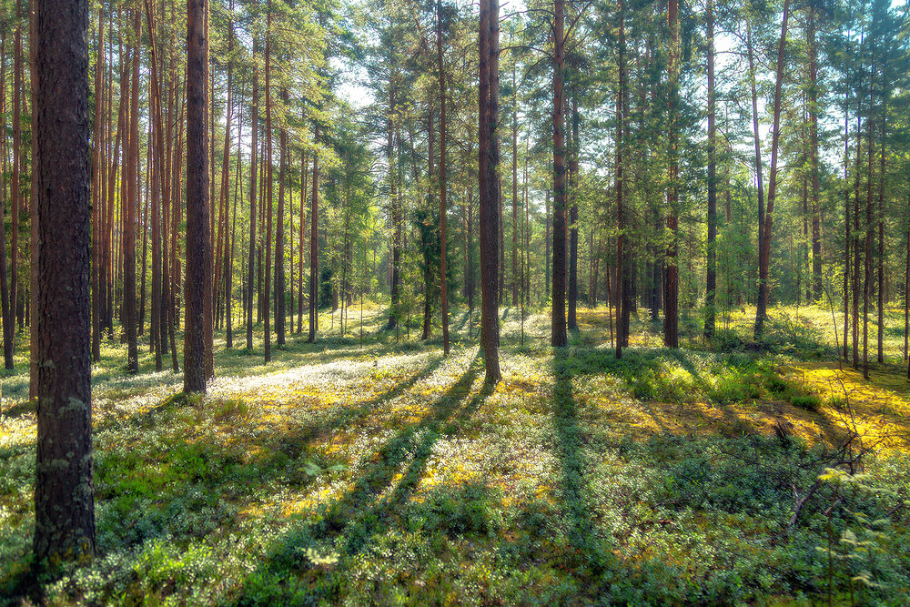 Photograph by Макаров Роман