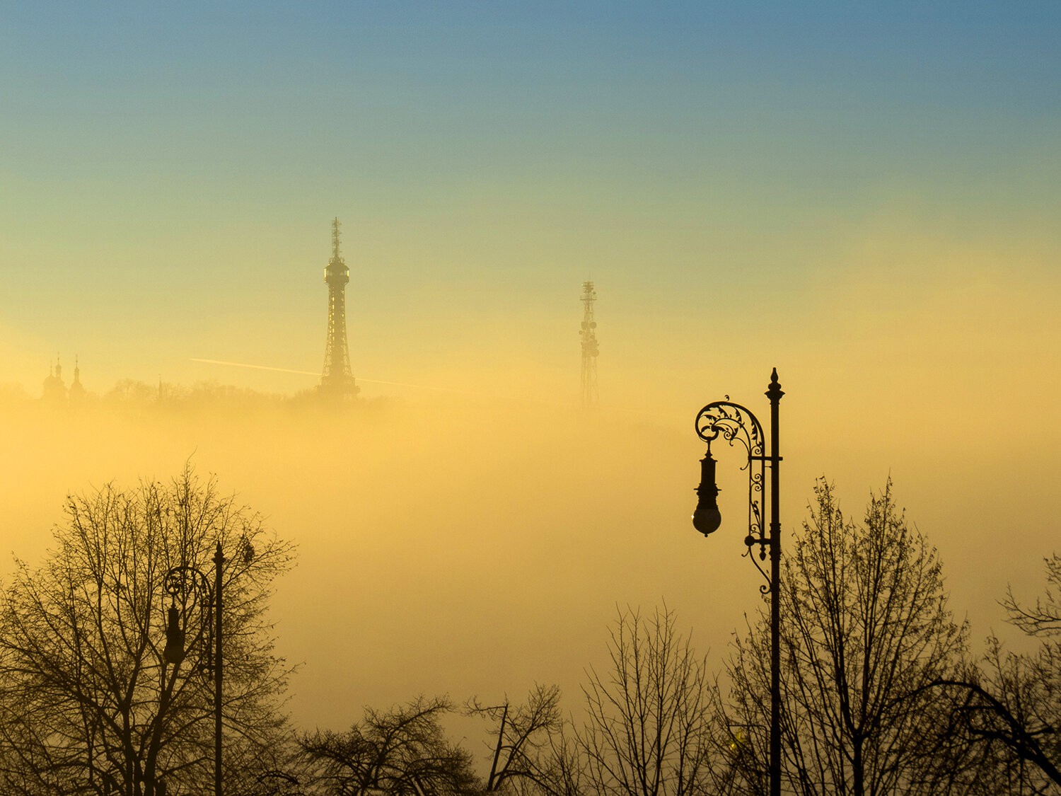 Photo #13837344