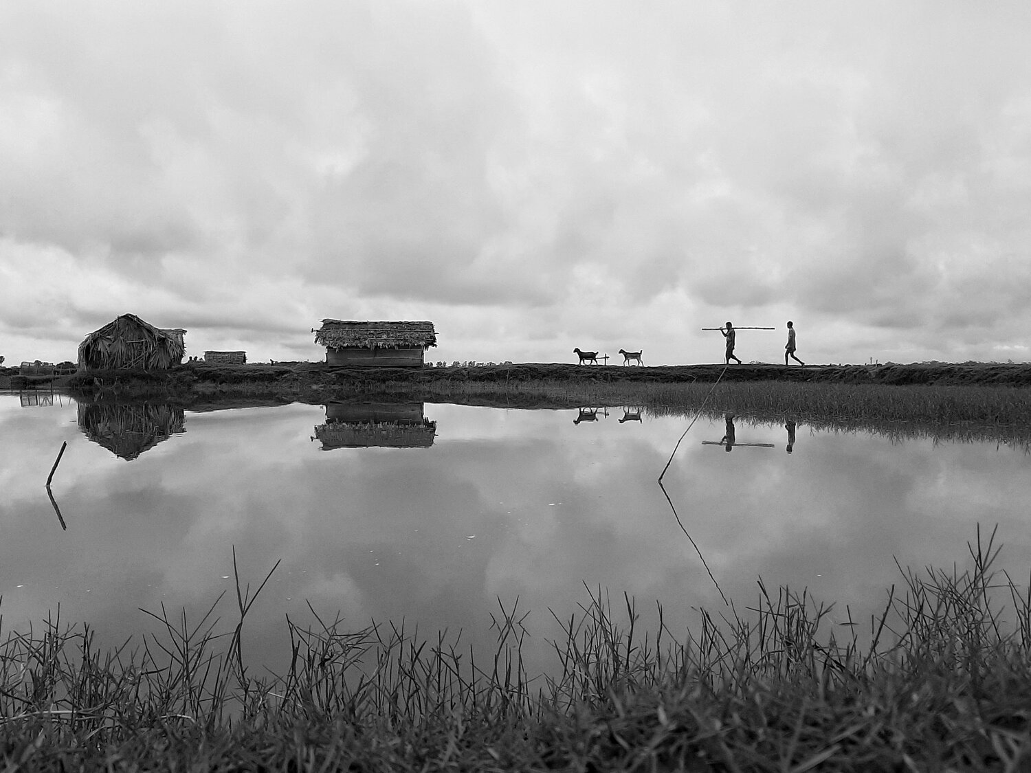 Photo #13837484
