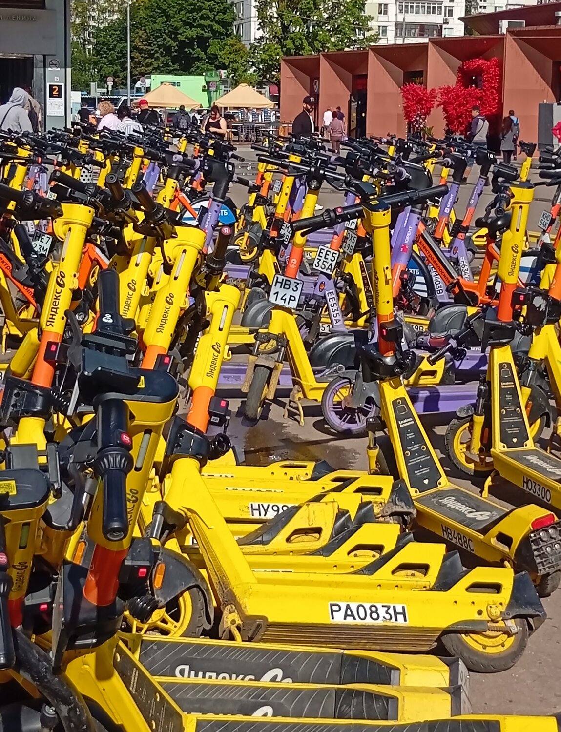 Photo #13837488