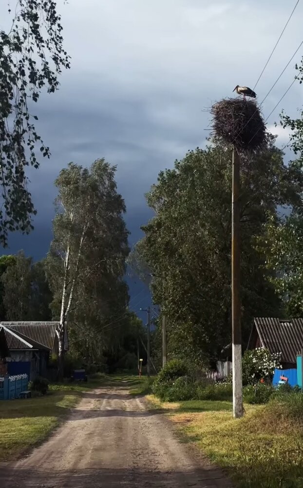 Photograph by Алла Узкая