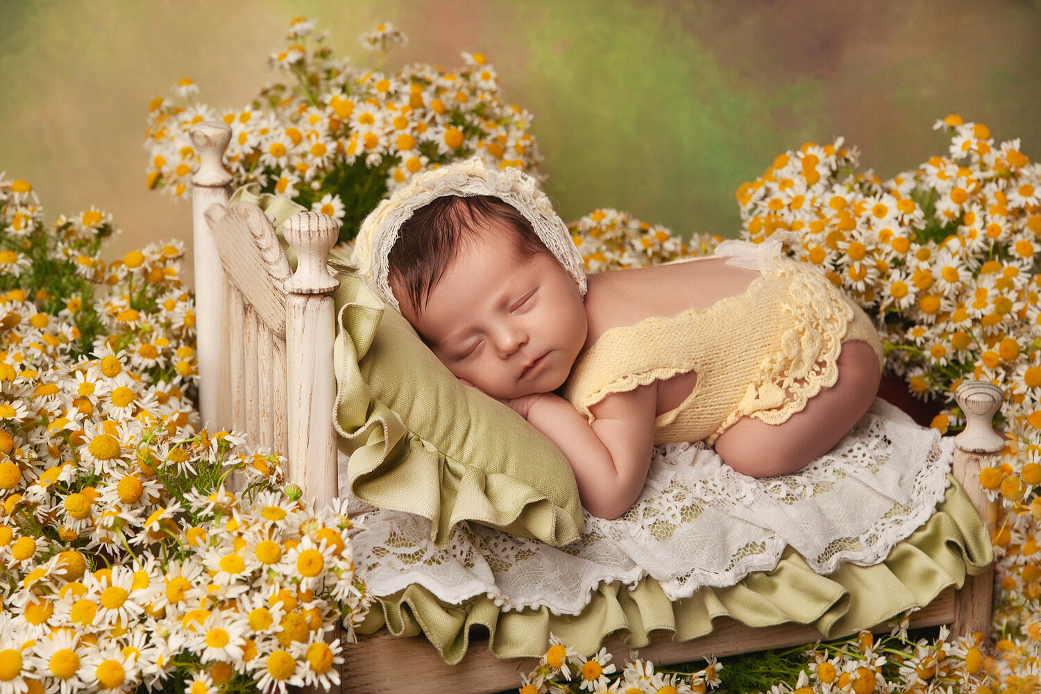 Photo #13837677