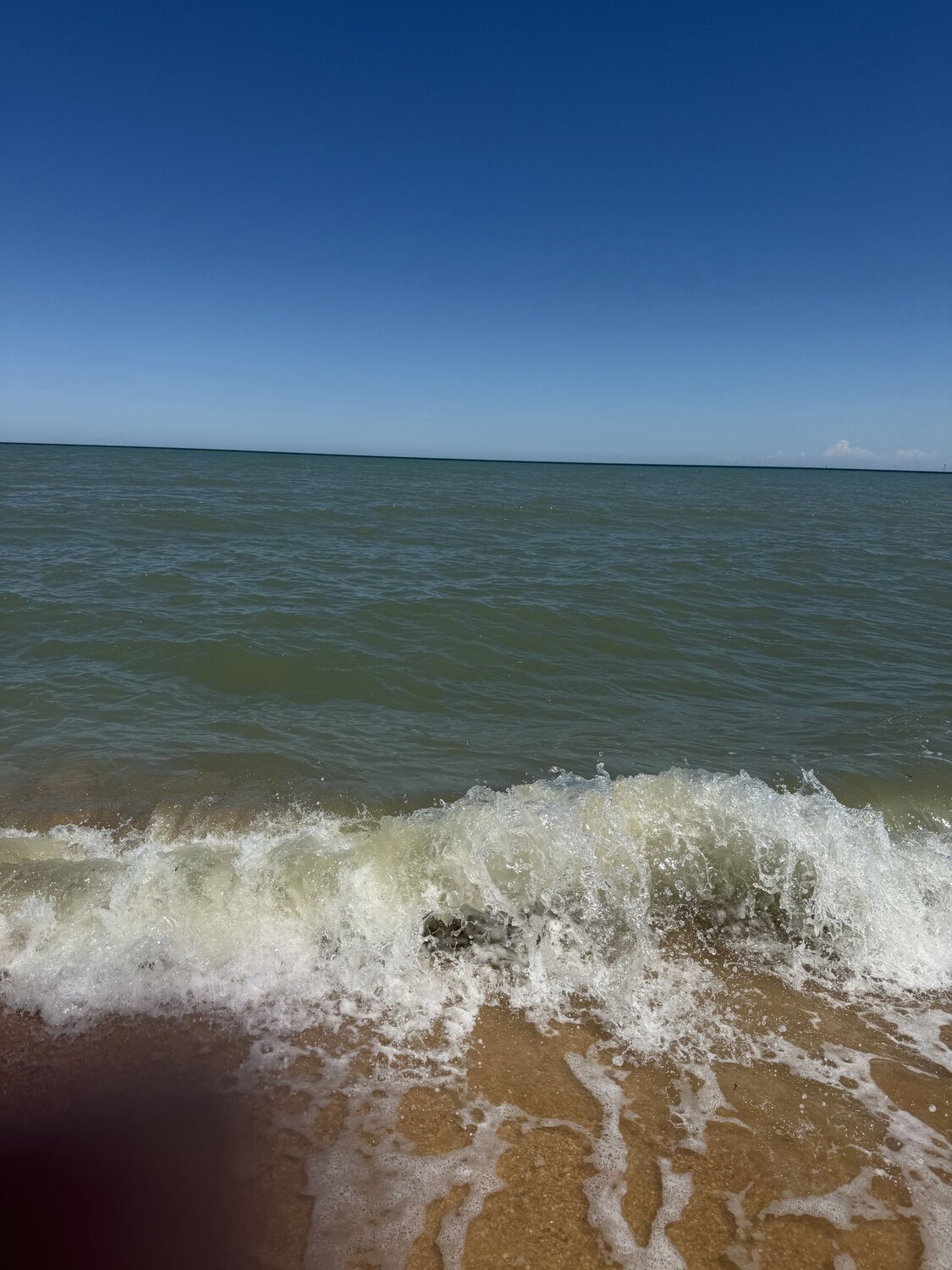 Photo #13837695