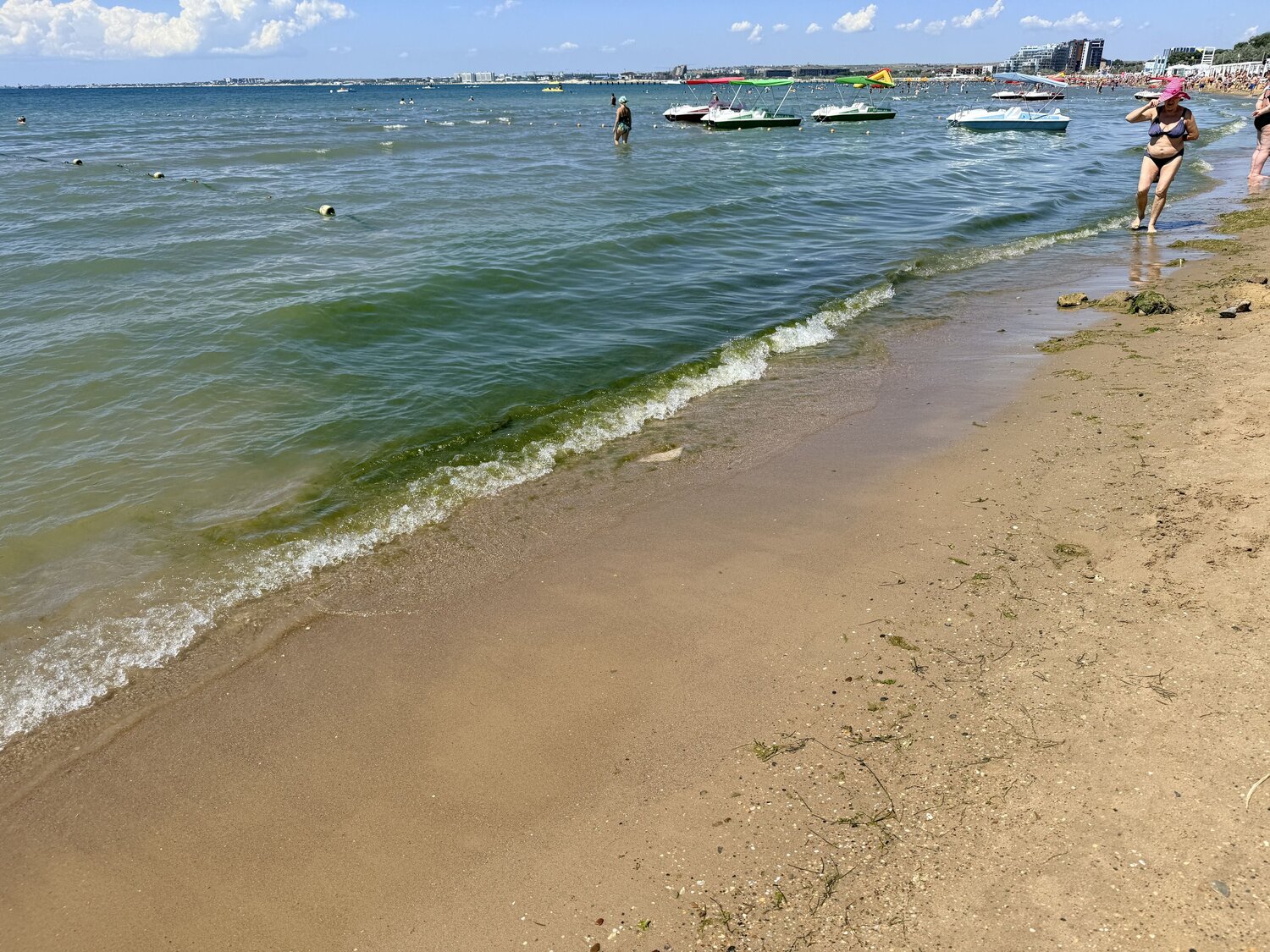 Photo #13837697