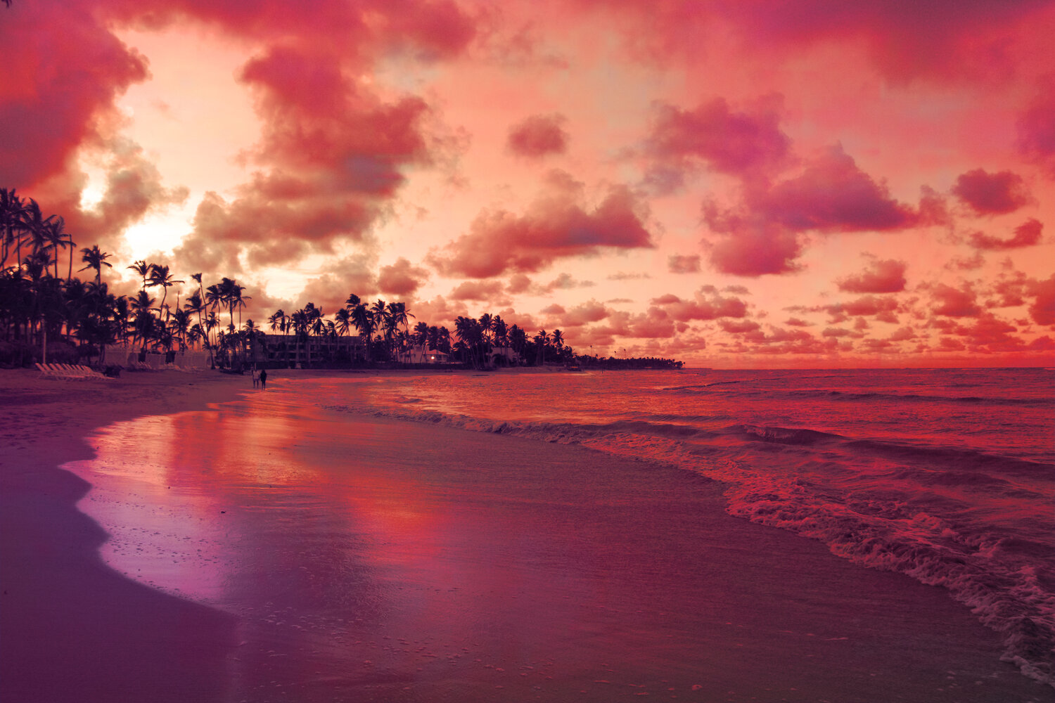 Photo #13837724