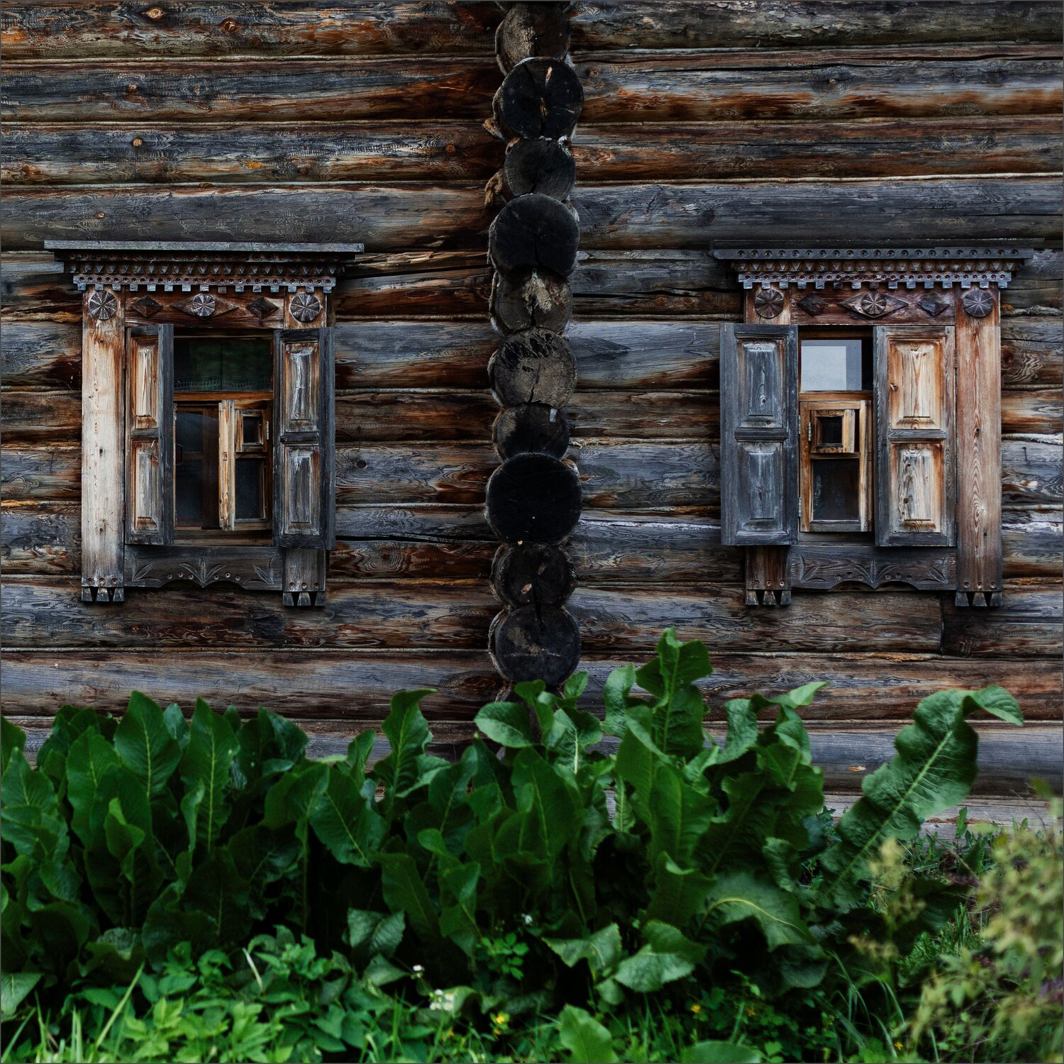 Photo #13837746