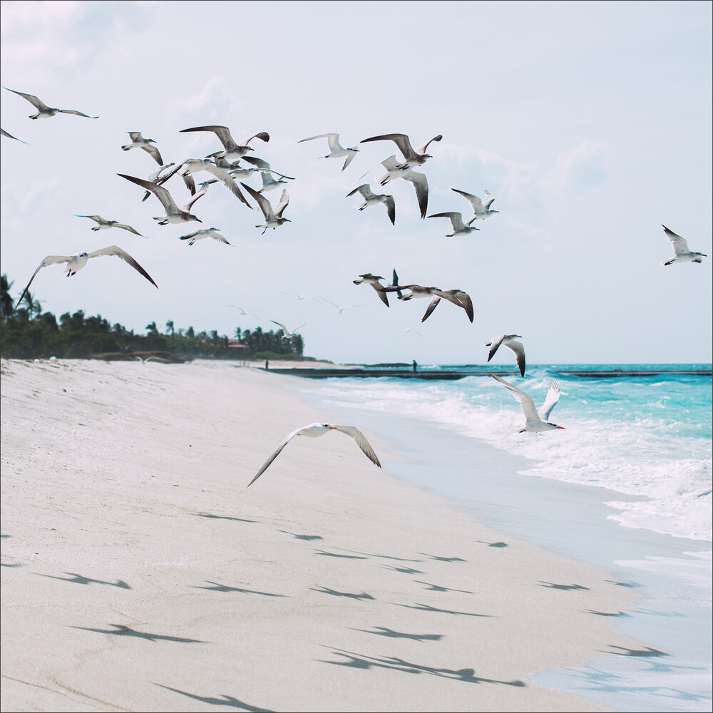 Photograph by Наталия Голованова