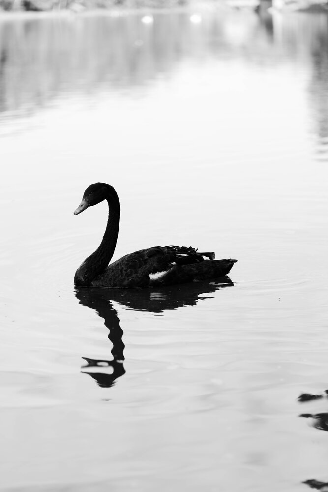 Photograph by Кристина