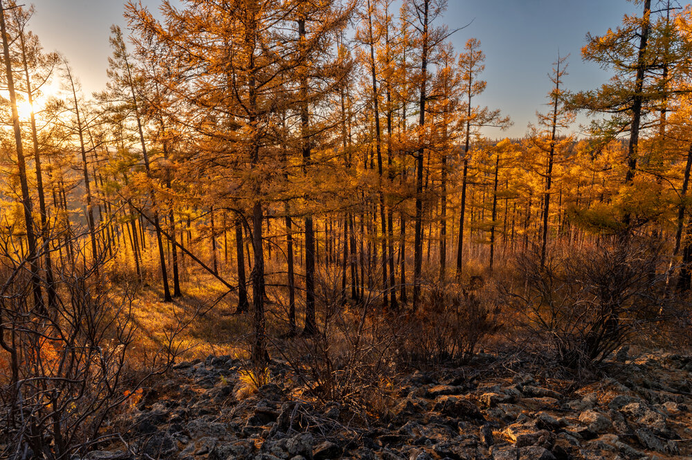 Photograph by Алексей Гончаров