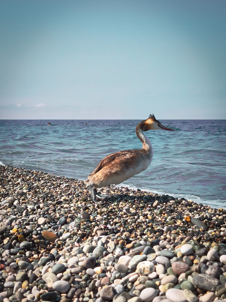 Photograph by Елена Щитова