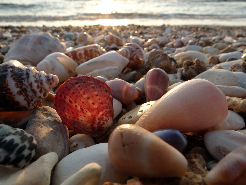 Photograph by Yulia Terentieva