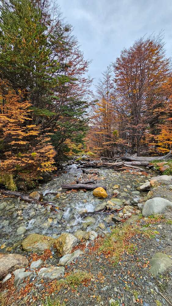 Autumn Forest on the Martial Glacier Trail