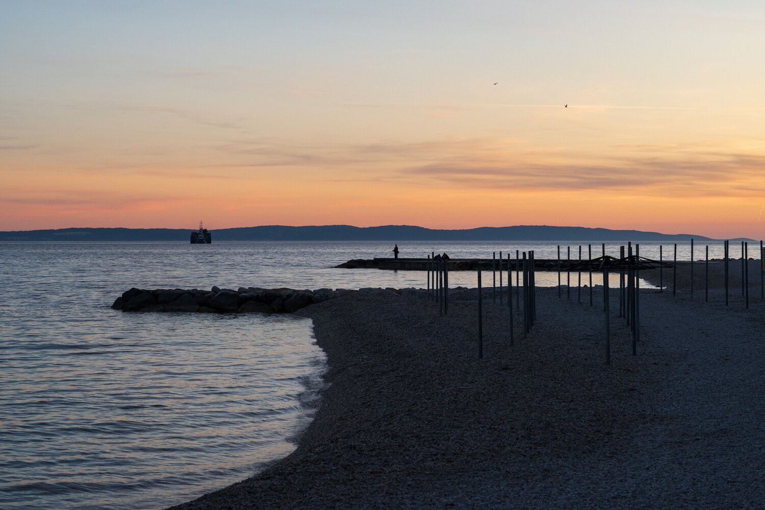 Photo #13837982