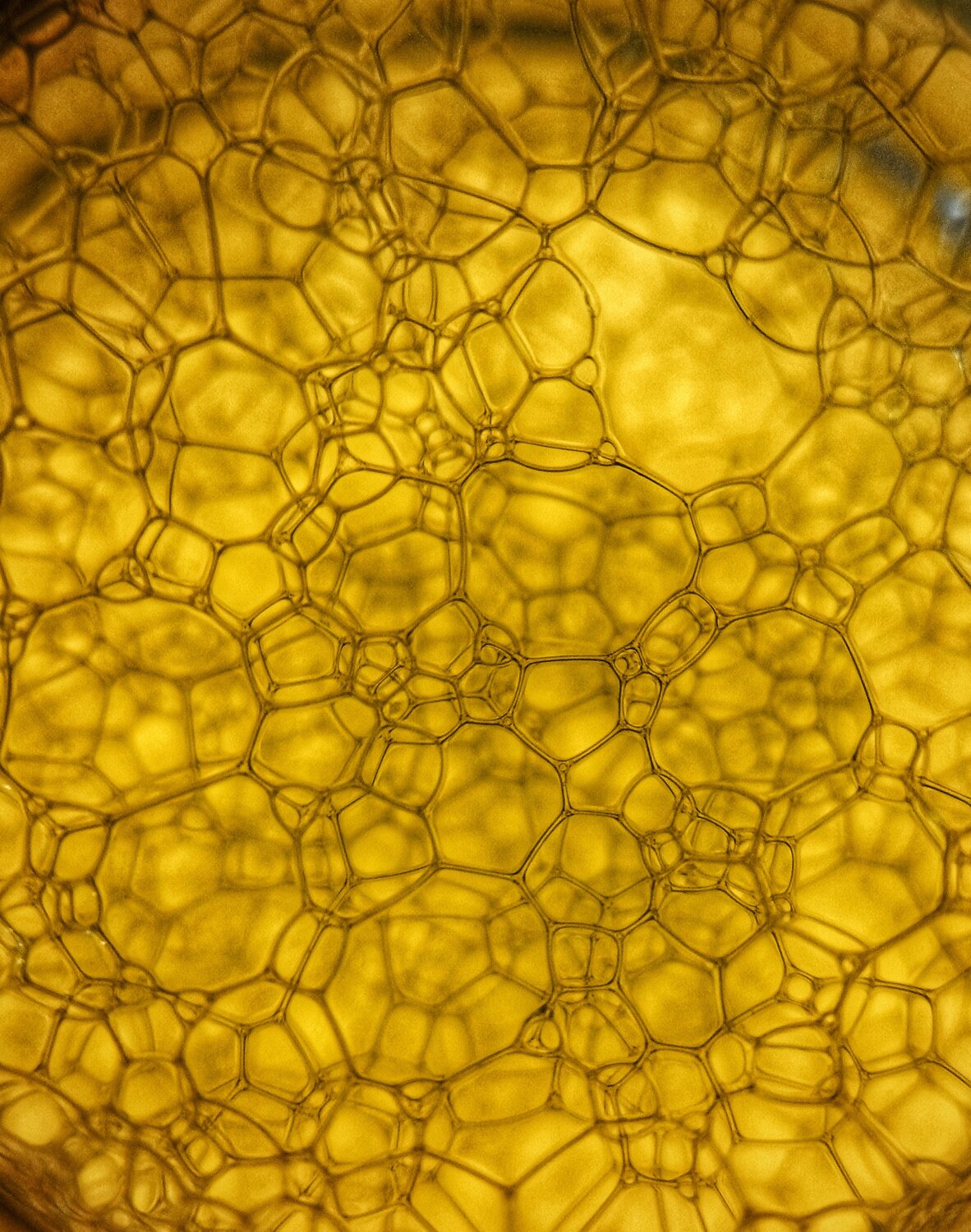 Photo #13838126