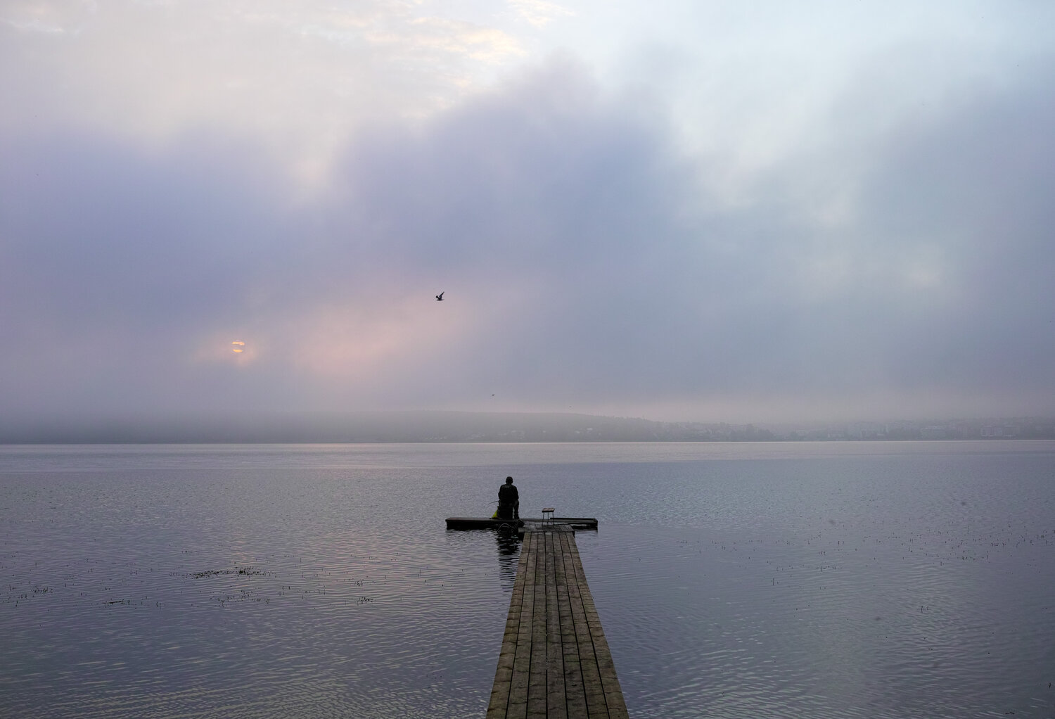 Photo #13838173
